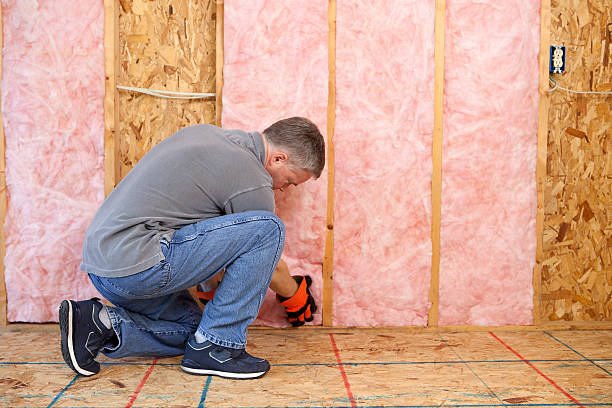 Best Cellulose Insulation in Wilmerding, PA